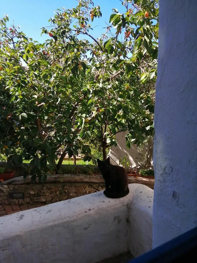 B&B Corte San Lussorio Oliena