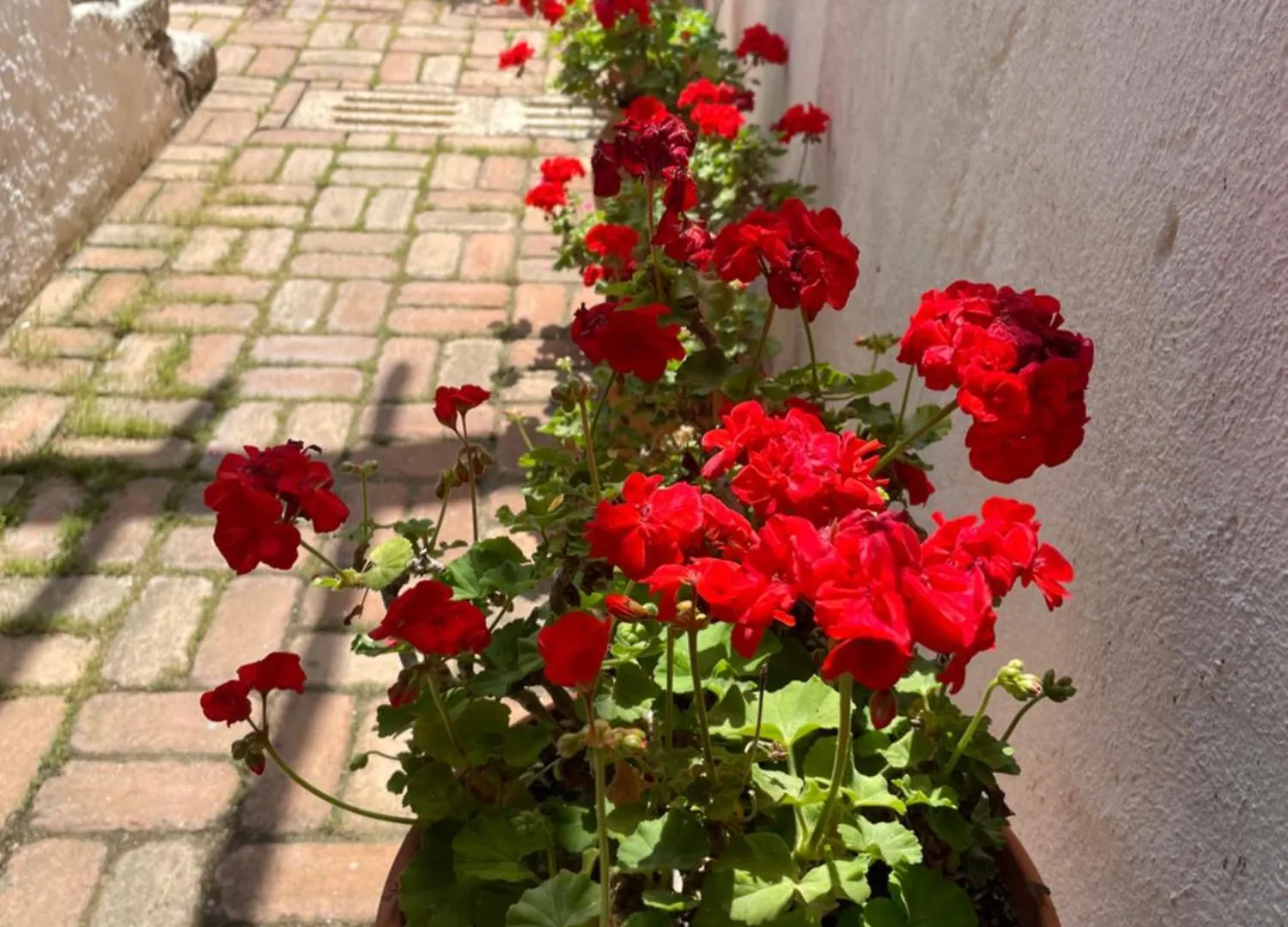 Alojamento de Acomodação e Pequeno-almoço B&B Corte San Lussorio Oliena