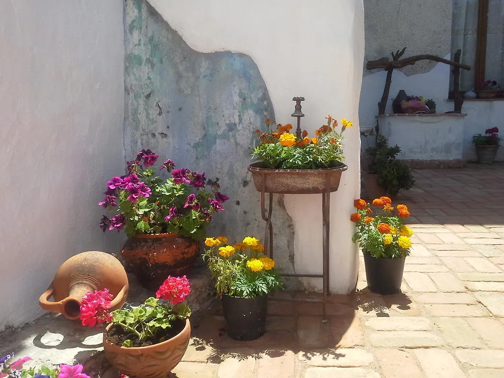 Alojamento de Acomodação e Pequeno-almoço B&B Corte San Lussorio Oliena Itália